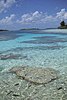 Clear lagoon shallows, Caroline Atoll