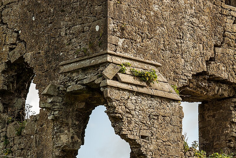 File:Castles of Munster, Kilduff, Limerick - revisited (4) - geograph.org.uk - 6276705.jpg