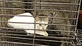 於 2009年9月2日 (三) 11:38 版本的縮圖