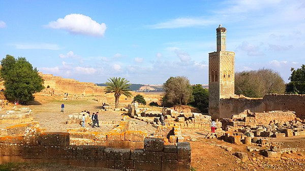 Roman and Marinid remains inside the Chellah complex