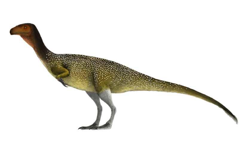 File:Chilesasaurus.png