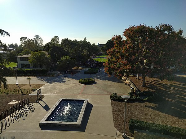 CMC's campus, looking west from the Bauer Center