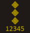 CoLP New Rank Insignia - ylitarkastaja.png