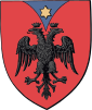 Coat of Arms of Kastrioti