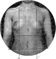 Fig. 54. — Divisions de la cavité abdominale.