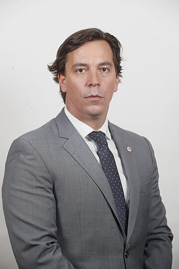 Cristián Labbé Martínez