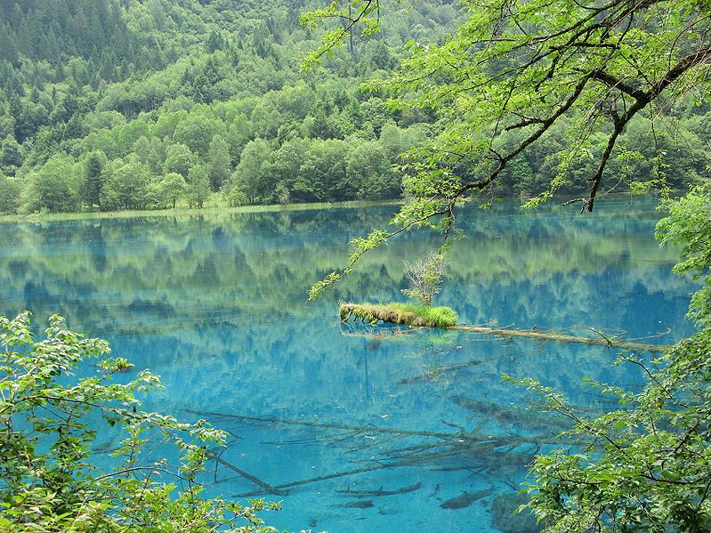 File:Crocodile Colorful Lake JZG.JPG