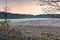 * Nomination Sunrise in the hamlet Börnste, Kirchspiel, Dülmen, North Rhine-Westphalia, Germany --XRay 05:12, 10 April 2016 (UTC) * Promotion Good quality. --Cccefalon 05:25, 10 April 2016 (UTC)