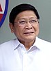 Chairperson Of The Metropolitan Manila Development Authority