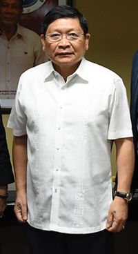 Danilo Lim MMDA.jpg