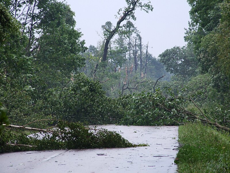 File:Destructions after tornado F1 Koszęcin (Poland) August 2008.JPG