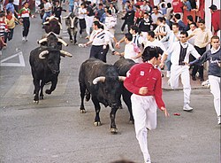 Detalle de toros en el encierro de San Sebastián de los Reyes.jpg