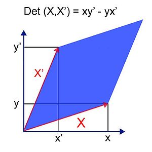 Matemática Determinante: Historia de los determinantes, Métodos de cálculo, Primeros ejemplos: áreas y volúmenes