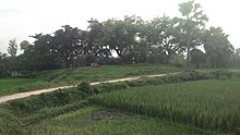 Dhana Bhandar Mound (2).jpg