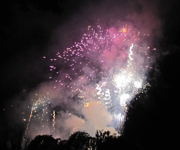 File:Dippemess-2010-ffm-feuerwerk-063.jpg