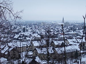 Dornbirn Hatlerdorf.JPG