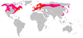 Drosera rotundifolia Distribution - world