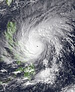 2006 Pacific Typhoon Season