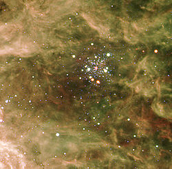 ESO-Stellar Cluster Hodge 301.jpg