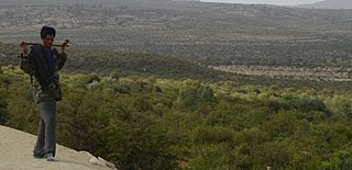 <span class="mw-page-title-main">EthioTrees</span> Project for woodland restoration in Ethiopia