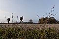 European Best Sniper Squad Competition 2016 Ruck March 161027-A-DN311-108.jpg