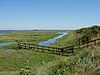 Farlington Marshes