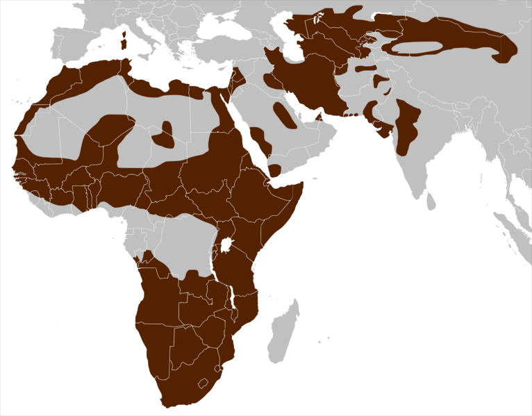 File:Felis Lybica range map.png