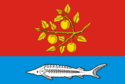 Flagge von Saratovsky District