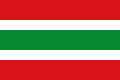 Flag of Vegaviana Spain.svg