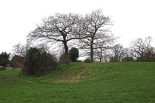 <span class="mw-page-title-main">Flitwick Castle</span>