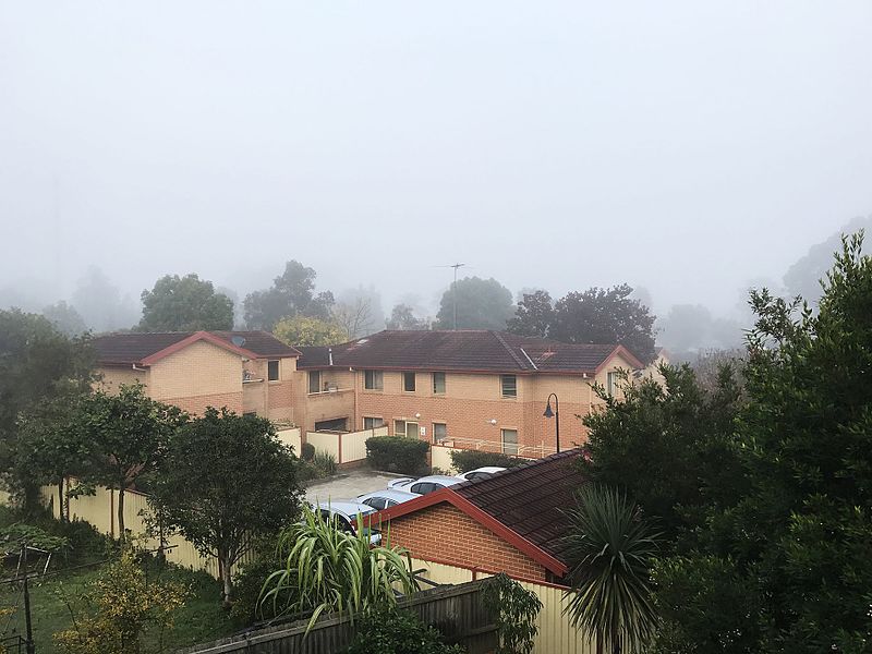 File:Fog in the Morning in Narwee, New South Wales.jpg