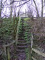 Footpath steps to the A12 Saxmundham Bypass - geograph.org.uk - 2291862.jpg