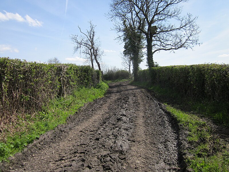 File:Footpath to Rake Lane - geograph.org.uk - 4948213.jpg