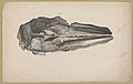 Fossils, Fig. 1-4 LCCN2003656254.jpg