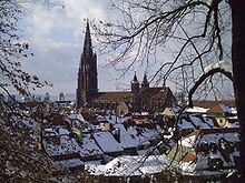 Freiburg Münster3 05 03 06. JPG