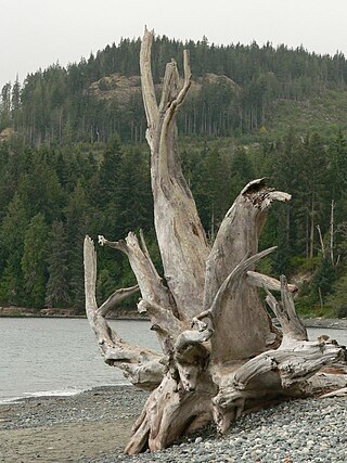 <span class="mw-page-title-main">French Beach Provincial Park</span> Provincial park in British Columbia, Canada