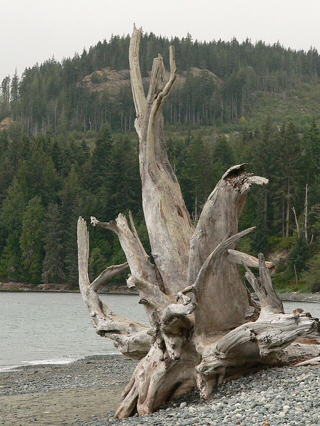 French Beach Provincial Park - Wikipedia