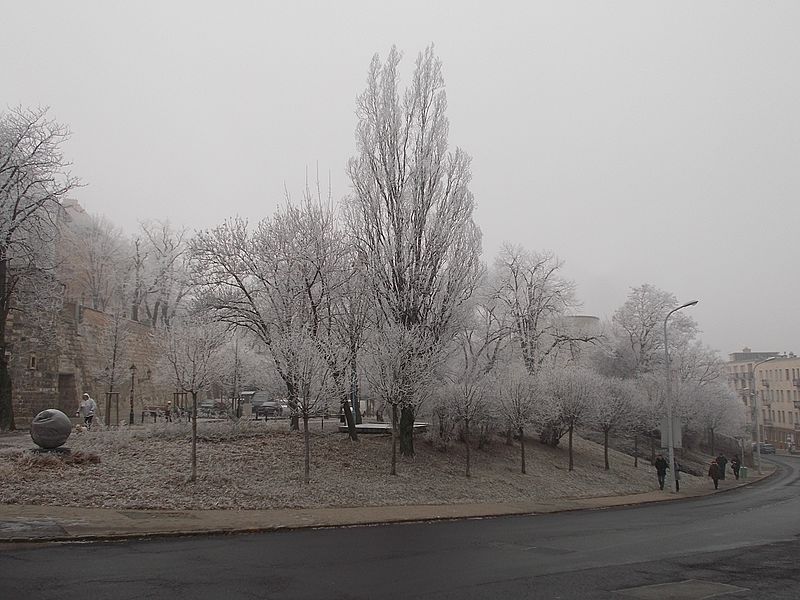 File:Frost on plants and Mother of Earth sculpture, Ostrom street, 2017 Budapest.jpg