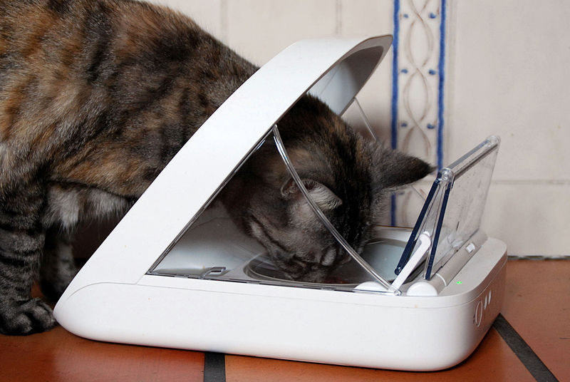 File:Futterautomat mit RFID - pet feeder, cat feeder, RFID controlled.JPG