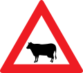 13a: Achtung Tiere