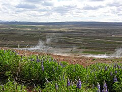 The hot spring area of Haukadalur