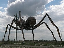 big ant on hill - Picture of Butterfly World Project, St. Albans -  Tripadvisor