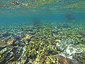 Thumbnail for Underwater environment