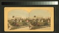 Greenhouse in the distance (NYPL b12555092-G90F440 021F).tiff