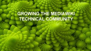 Growing the MediaWiki Technical Community Dev Summit 2018 session slides
