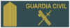 brigade badge