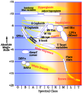 Thumbnail for Classical Cepheid variable