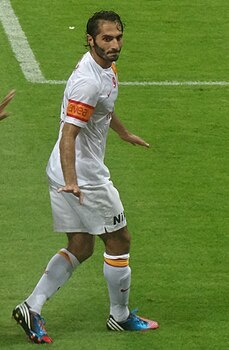 Hamit AltIntop Fiorentina.JPG