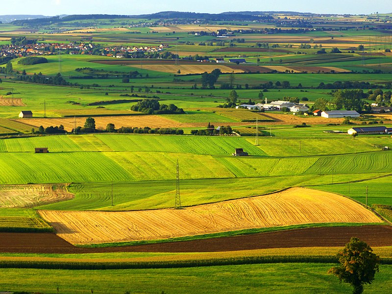 File:Harvest Is Done - panoramio.jpg