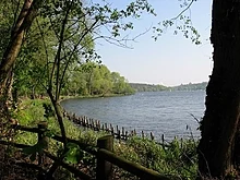 Grunewald (forest) - Wikipedia